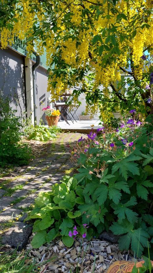 Old Charm Apartment - Keflavik Downtown מראה חיצוני תמונה